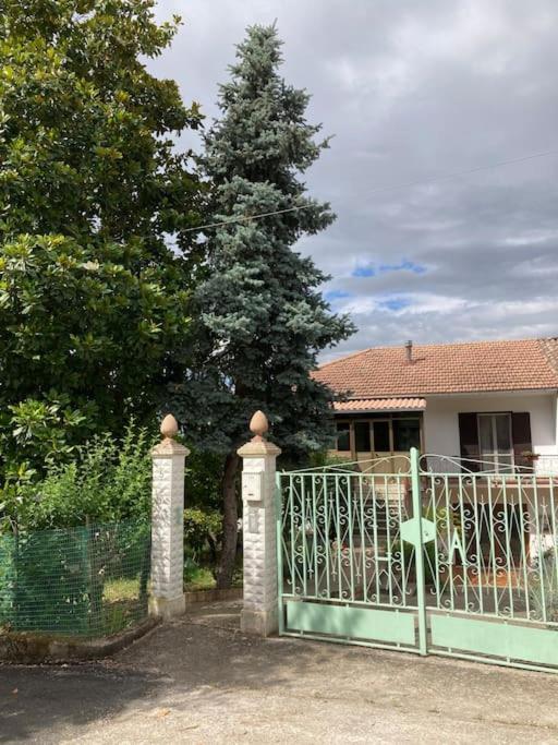 Casa Sisu-Appartamento Immerso Negli Ulivi SantʼElia Fiumerapido Eksteriør billede