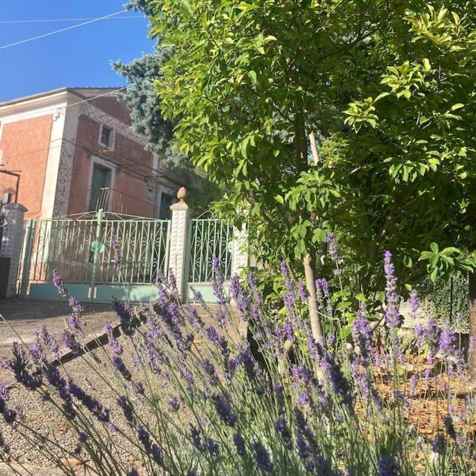 Casa Sisu-Appartamento Immerso Negli Ulivi SantʼElia Fiumerapido Eksteriør billede
