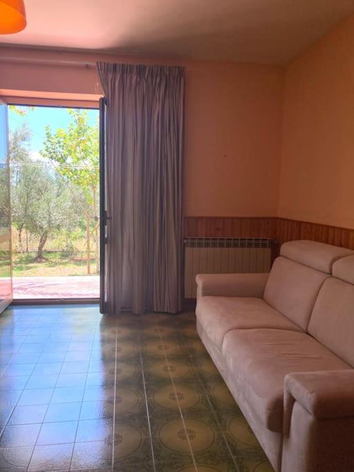 Casa Sisu-Appartamento Immerso Negli Ulivi SantʼElia Fiumerapido Eksteriør billede