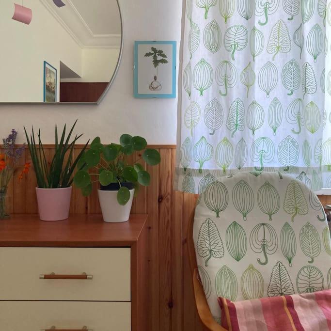 Casa Sisu-Appartamento Immerso Negli Ulivi SantʼElia Fiumerapido Eksteriør billede