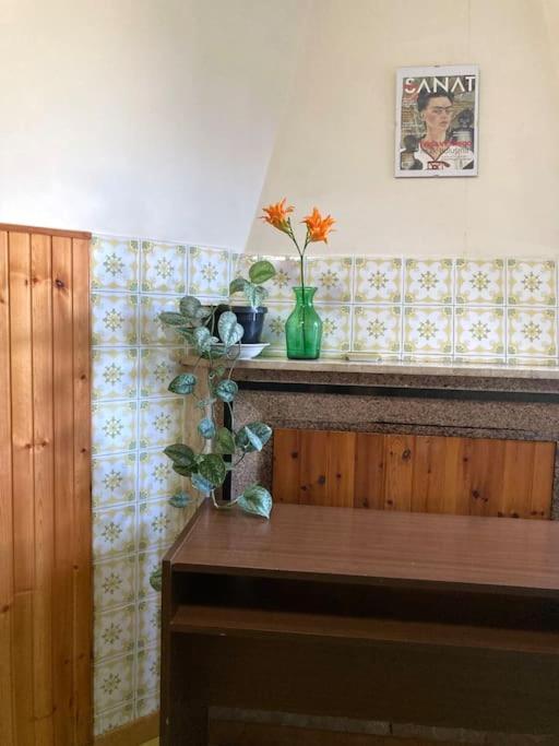Casa Sisu-Appartamento Immerso Negli Ulivi SantʼElia Fiumerapido Eksteriør billede